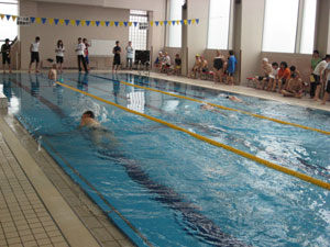 水泳の競技写真その２